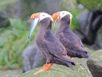 Similar image 795375