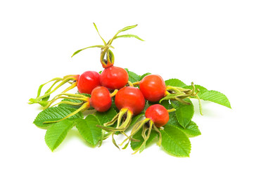 Similar image 795377