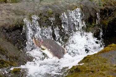 Similar image 795379