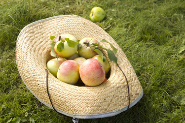 Similar image 795381