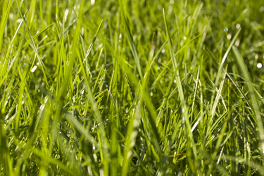 Similar image 795383