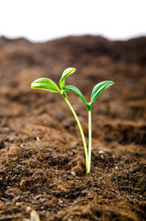 Similar image 795469