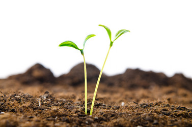 Similar image 795471