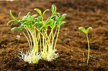 Similar image 795472