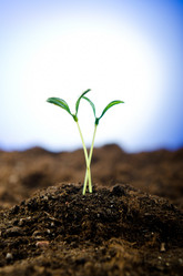 Similar image 795473