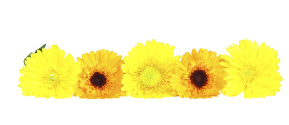 Similar image 795477