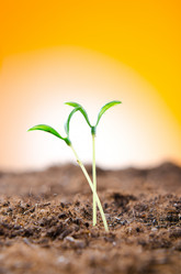 Similar image 795485