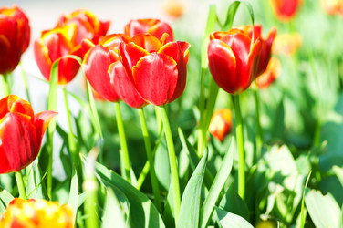 Similar image 795509