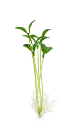 Similar image 795518