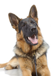 Similar image 795549