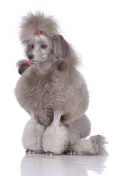 Similar image 795636