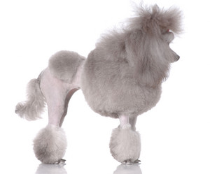 Similar image 795647