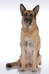 Similar image 795710