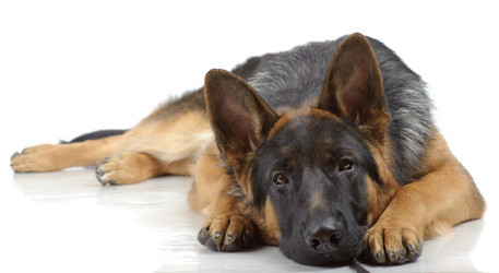 Similar image 795714