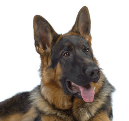 Similar image 795715