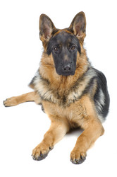 Similar image 795717