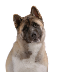 Similar image 795721