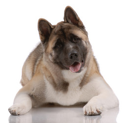 Similar image 795724