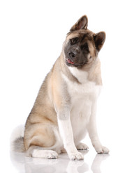 Similar image 795725