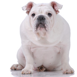 Similar image 795752