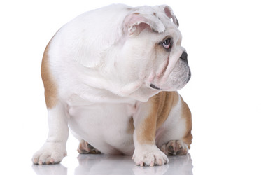 Similar image 795761