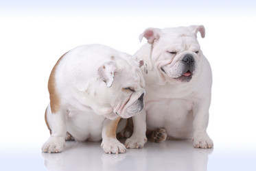 Similar image 795765