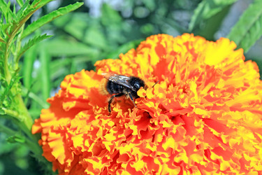 Similar image 795794