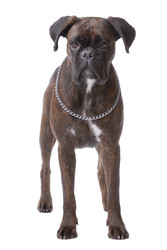 Similar image 795801