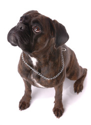 Similar image 795804