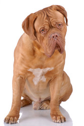 Similar image 795808