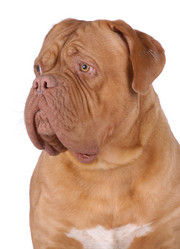 Similar image 795809