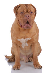 Similar image 795810