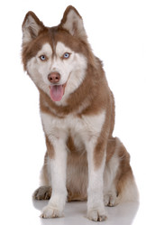 Similar image 795821