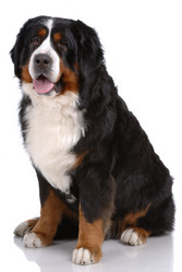 Similar image 795841