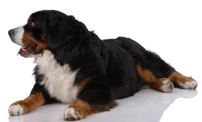 Similar image 795843