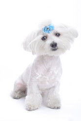 Similar image 795845