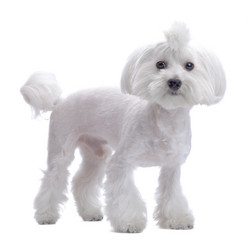 Similar image 795847