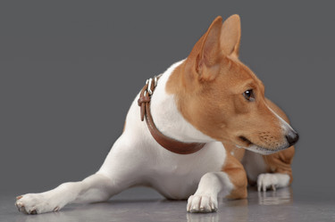 Similar image 795854