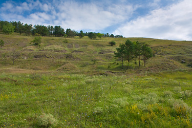 Similar image 795916