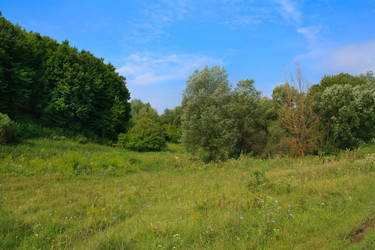 Similar image 795918