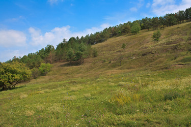 Similar image 795920