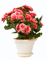 Similar image 795957