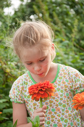 Similar image 795966