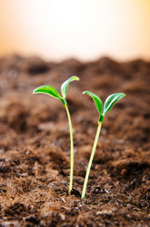 Similar image 795990