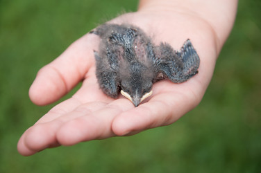 Similar image 796002