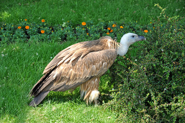 Similar image 796008