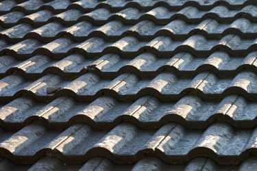 Similar image 796038