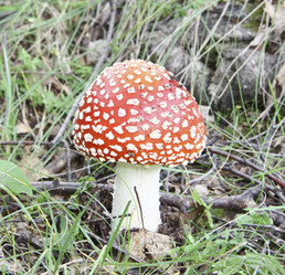 Similar image 796057