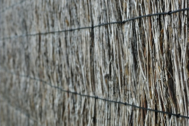 Similar image 796062