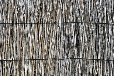 Similar image 796063